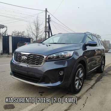 Kia: Kia Sorento: 2019 г., 2 л, Автомат, Дизель, Внедорожник