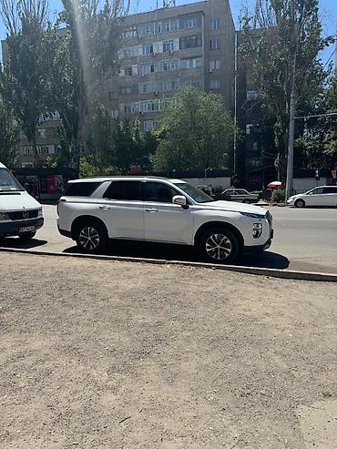 ford galaxy: Hyundai Palisade: 2019 г., 2.2 л, Автомат, Дизель, Кроссовер — 2