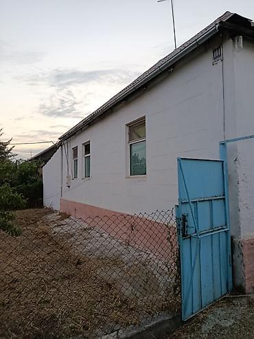 нужен прораб: Белю дома с наружы с нутри, шпаклевка покраска и другие ремонты — 5