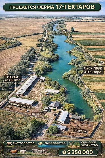 Продажа сельхоз предприятий: Ферма КРС, 17 соток, Частично с оборудованием, Электричество, Скважина, Холодная вода — 1