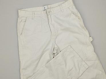 nata lee wymiary: H&M, Spodnie materiałowe damskie, rozmiar L — 1
