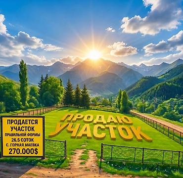 26 соток, Кызыл китеп — 1
