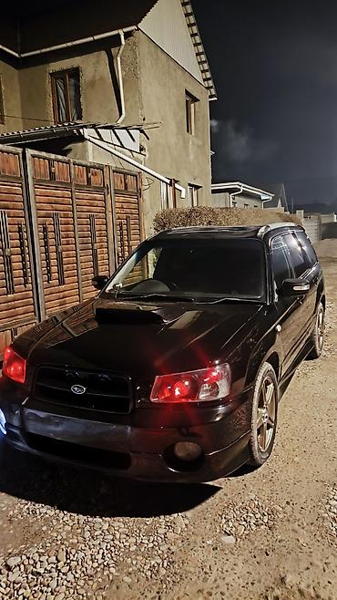 Subaru: Subaru Forester: 2003 г., 2 л, Автомат, Газ, Кроссовер — 1