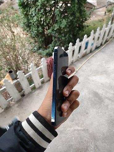 discover note 21 plus: IPhone 12 Pro Max, 256 GB, Mavi, Face ID — 2