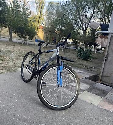 Velosiped – 26-lıq - Tip: Dağ/şəhər tipi velosiped - Təkər ölçüsü