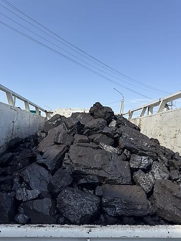 Товары для пикника: Уголь каменный фракции крупной (примерно 50–200 мм), навалом в кузове — 1