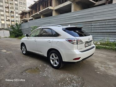 белый лексус: Lexus RX: 2010 г., 3.5 л, Автомат, Бензин, Внедорожник