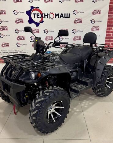 Мотоциклы: Квадроцикл Бензин, 500 куб. см, Взрослый