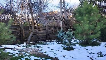 Продажа дач: Продается дача, 5 сот. 1 эт + мансарда, немецкий хороший дом — 27