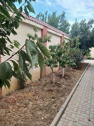 Həyət evləri və villaların satışı: Qala dairəsi, Qala-Şüvəlan yolunun üstünda 6 sot torpaqda sahəsi 200 — 6