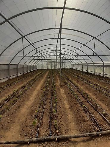 Сварка: Сварка Высотные работы — 42