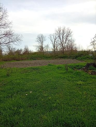 Torpaq sahələrinin satışı: 38 sot, Tikinti, Mülkiyyətçi, Kupça (Çıxarış) — 23