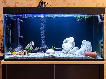 ocean filter: Akvarium-şkaf, Balıqlarla birlikdə, 230 l — 2