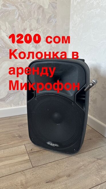петличные микрофоны: Портативная акустическая колонка TARBOG черного цвета, оснащенная