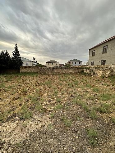 umid qesebesi: 6 sot, Tikinti, Maklerlər narahat etməsin, Kupça (Çıxarış) — 8