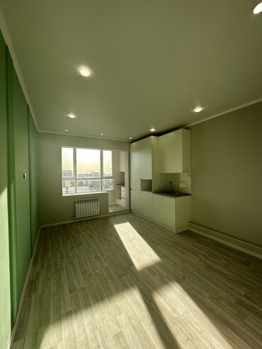 Квартиры: Студия, 27 м², Элитка, 5 этаж, Евроремонт