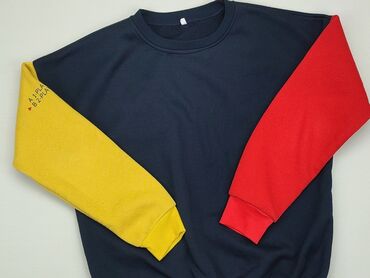 góralskie bluzki: Bluzy XL (EU 42), stan - Dobry