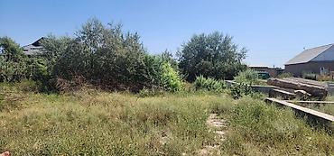 старый аэропорт: 4 соток, Для строительства, Красная книга — 3