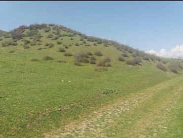 Torpaq sahələrinin satışı: 19 sot, Kənd təsərrüfatı, Mülkiyyətçi, Kupça (Çıxarış) — 9