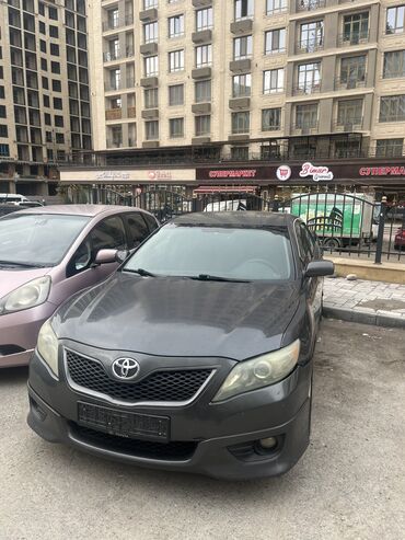 toyota camry 2009: Toyota Camry: 2009 г., 2.5 л, Автомат, Бензин, Седан