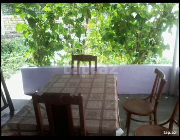 Bağ evlərinin kirayəsi: 30 kv. m, 1 otaqlı, Hovuzsuz, İnternet, Telefon, Qaz — 2