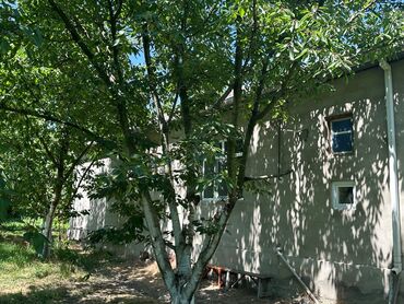 Bağ evlərinin satışı: Xaçmaz, 126 kv. m, 4 otaqlı, Hovuzsuz -da lalafo.az — 11 Bağ evlərinin satışı: Xaçmaz, 126 kv. m, 4 otaqlı, Hovuzsuz — 11