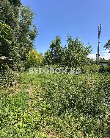 Үйлөр: 🏠Продается дом в с. Беловодское Нижняя зона от трассы - 1 км 🟡Дом — 5