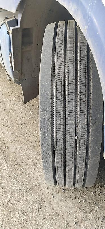 bmw f30 stop: DAF 95XF dartqı + soyuduculu birlikdə satılır. evro 3. maşın saz — 10