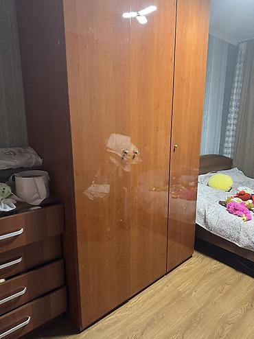 standing mirror: Шифоньер, шкаф для одежды, Б/у, Прямой, ЛДСП — 1