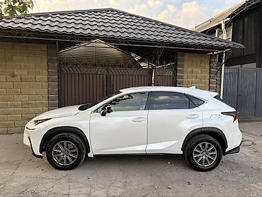 Lexus: Lexus NX: 2018 г., 2 л, Автомат, Бензин, Кроссовер — 3