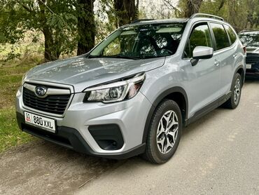 Subaru: Subaru Forester 2019 год Свежий Чистый карфакс 100% родной окрас