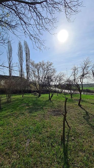 Torpaq sahələrinin satışı: Kənd təsərrüfatı, Kupça (Çıxarış) — 10