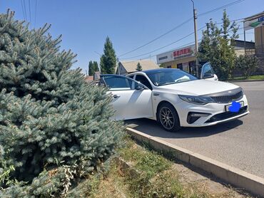 авто кридит бишкек: Kia K5: 2019 г., 2 л, Автомат, Газ, Седан