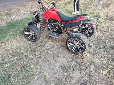 Квадроциклы: Квадроцикл Бензин, 250 куб. см, Взрослый at lalafo.kg — 6 Квадроциклы: Квадроцикл Бензин, 250 куб. см, Взрослый — 6