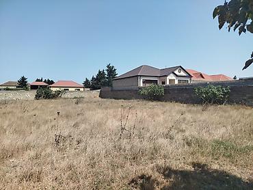 Torpaq: 19 sot, Tikinti, Mülkiyyətçi, Kupça (Çıxarış) — 1
