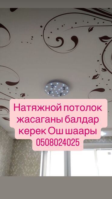 ищу работу кафе: Талап кылынат Куроочу, Төлөм Күнүмдүк, Тажрыйбасы бир жылдан аз