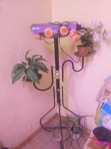 подставка для растений: Поодается подставка для цветов.2000с