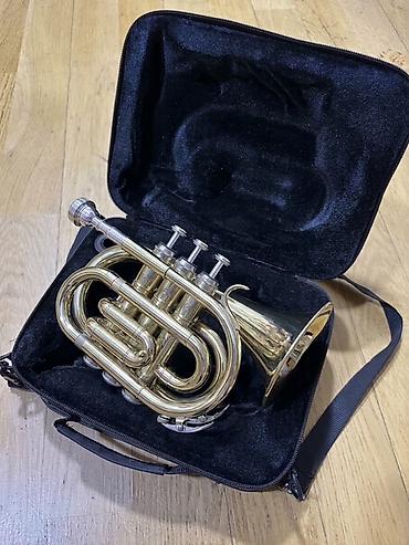Musiqi alətləri: Pocket trumpet | Mini truba — 1