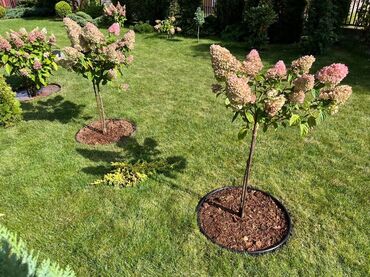 Садовые бордюры: Бордюрная лента КАНТА Бордюрная лента КАНТА доступна в трех цветах — 20