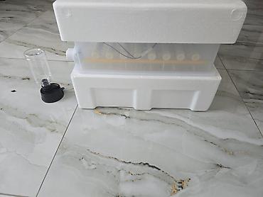 cuce fermasi: 100 yumurta, Çin, Tam avtomat — 8