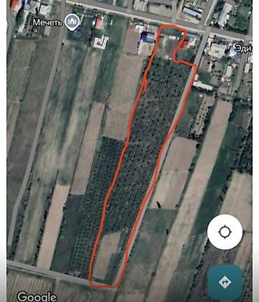 село алексеевка: 🌿 Продается плодоносящий сад 2 га с домом на участке 12,5 соток 🌿 — 2