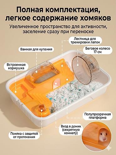 Хомяки: Клетка для Хомяка,пользовался месяц.Могу прислать фотки в личку,цена — 1