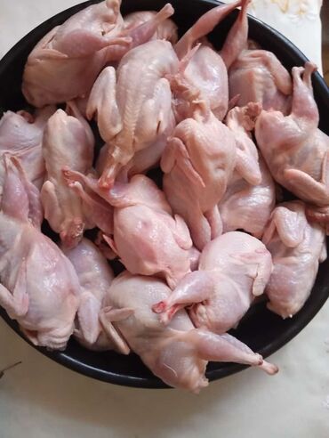 купить кур: Gündəlik kəsilib, təmizlənmiş Bildirçin Əti 🥩 Delikates = 1.50 ₼ 🥩