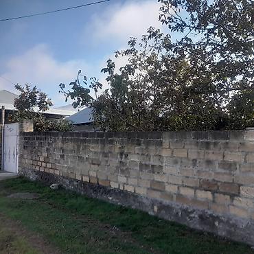 купить дачу в вишневке в баку: 5 комнат, 200 м², Нет кредита, Средний ремонт — 7