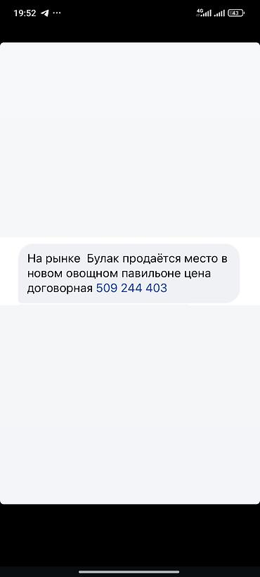 кен булун: Продаётся торговое место на рынке «Булак» в новом овощном павильоне — 1