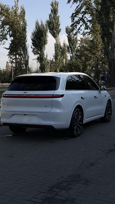 6 мес: Lixiang L6: 2025 г., 1.5 л, Автомат, Гибрид, Кроссовер — 4
