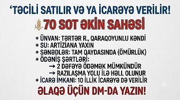 badamdarda ucuz torpaq: Kənd təsərrüfatı — 1