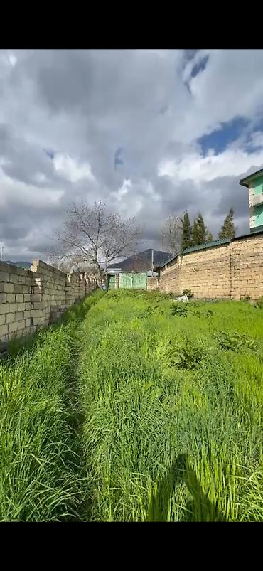 Torpaq sahələrinin satışı: 10 sot, Mülkiyyətçi, Kupça (Çıxarış) — 3