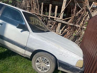 кпп пассат б4: Audi 100: 1989 г., 2.3 л, Кол менен иштөөчү, Бензин, Седан — 2