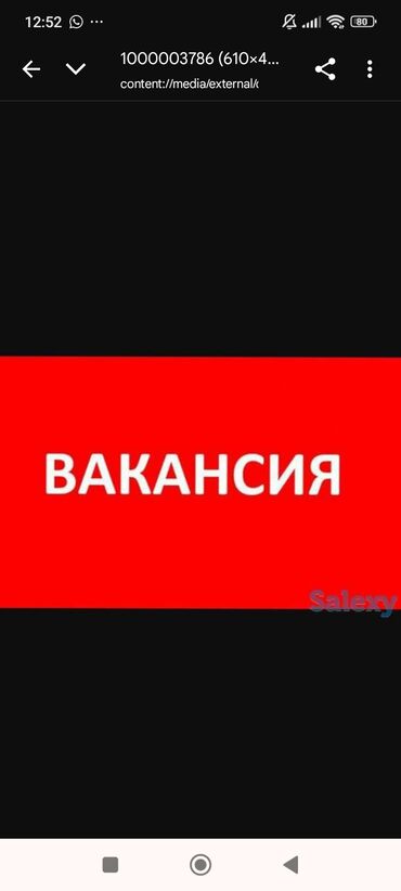 фото на визу: Требуется Менеджер по продажам, График: Гибкий график, Удаленная работа, Карьерный рост